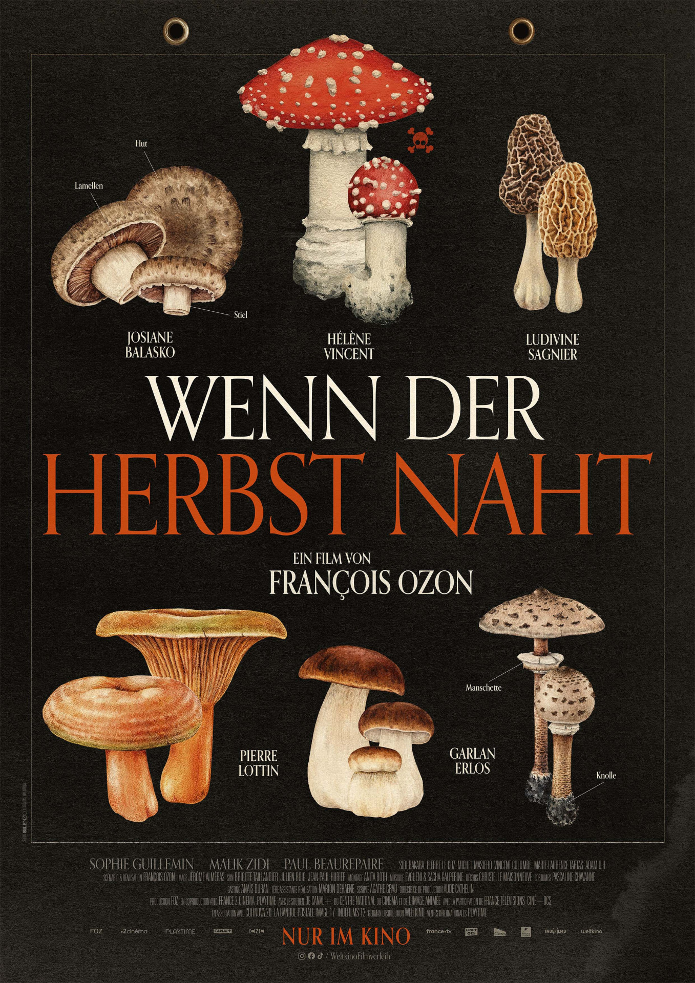 Wenn der Herbst naht