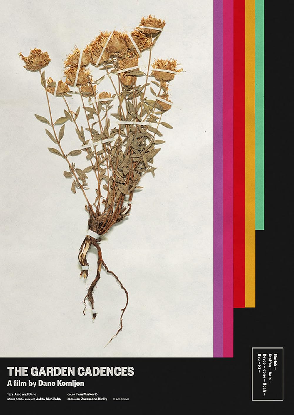 XPosed: The Garden Cadences