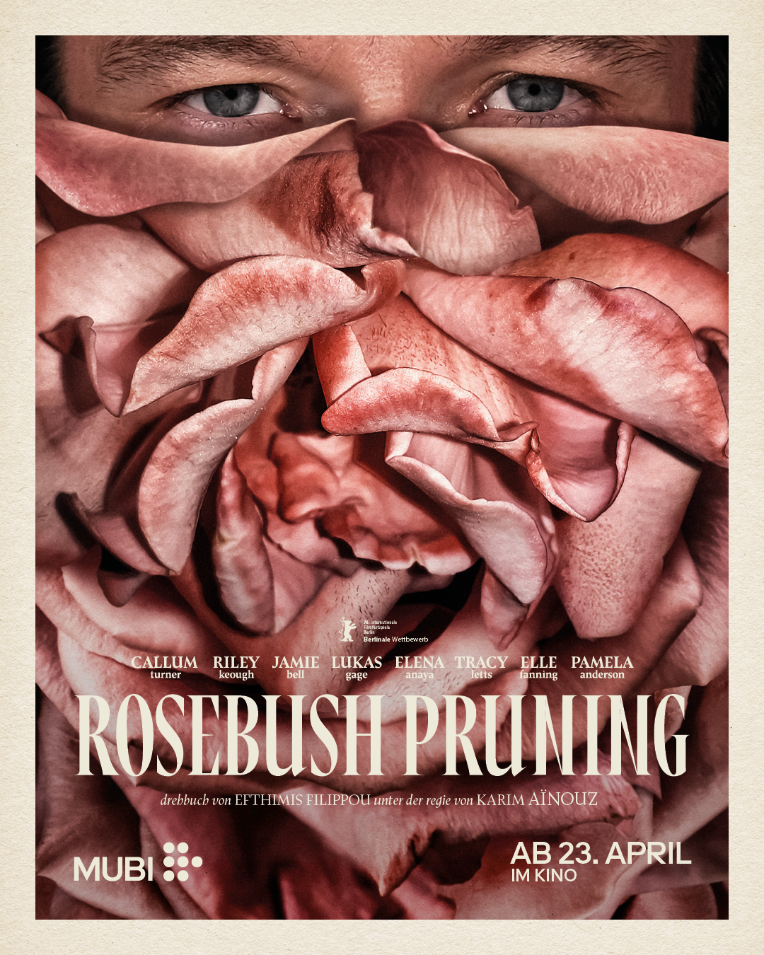 Rosebush Pruning